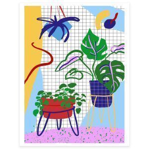 My home, my plants
