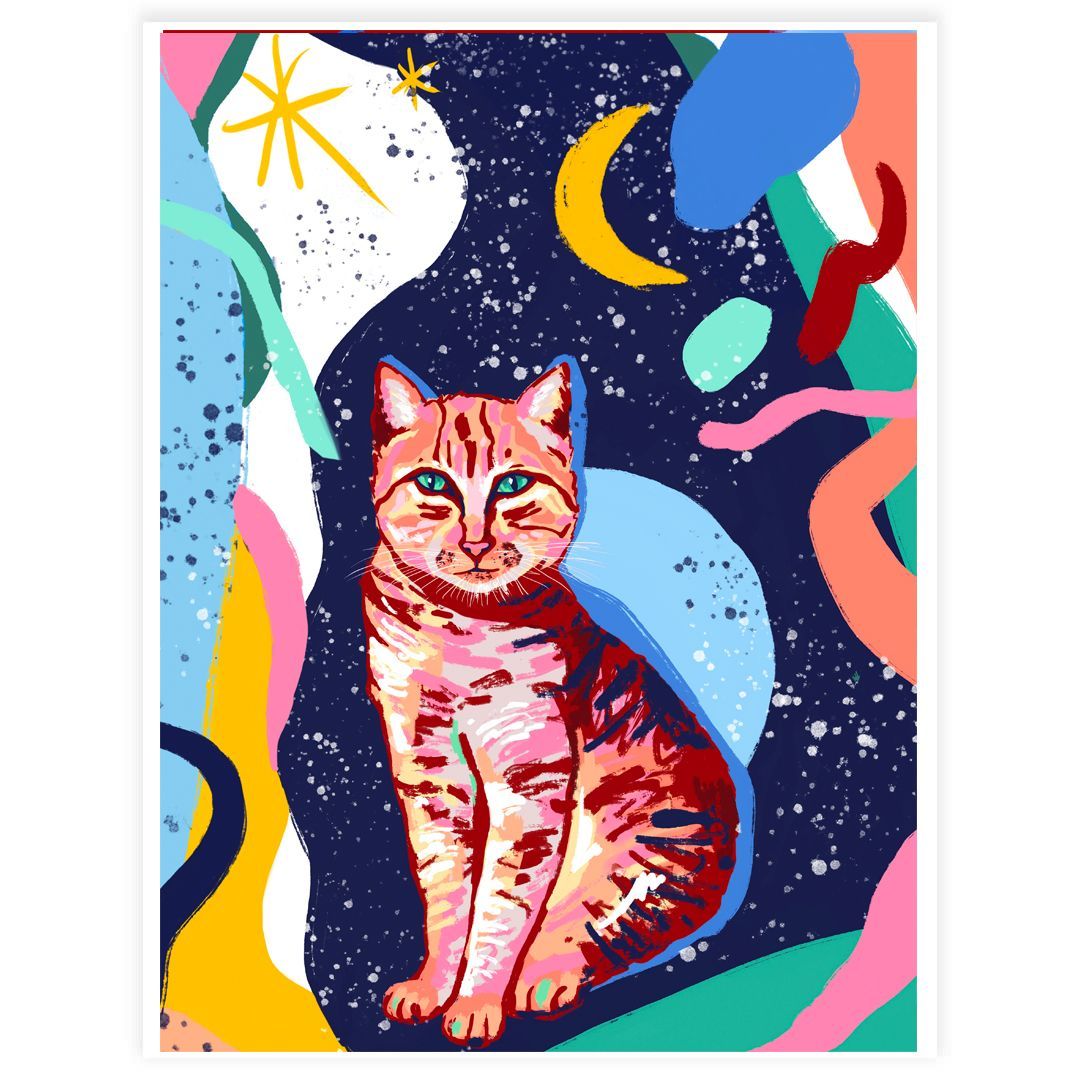 Gato luna